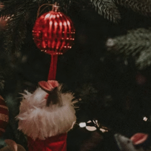solheure-christmas-brunch-aspect-ratio-300-300